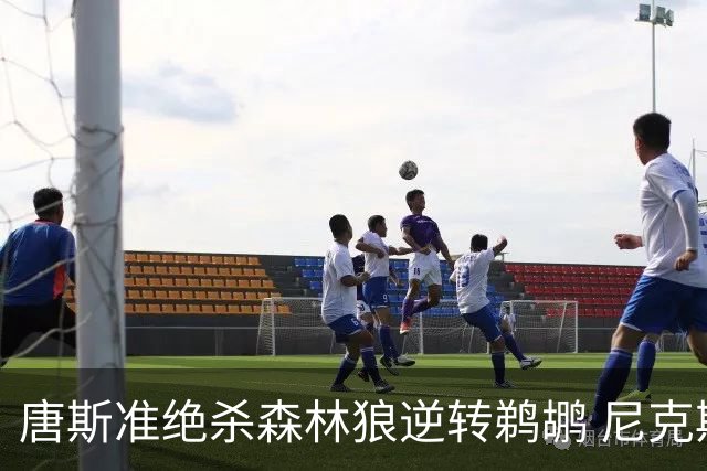 唐斯准绝杀森林狼逆转鹈鹕 尼克斯送黄蜂4连败